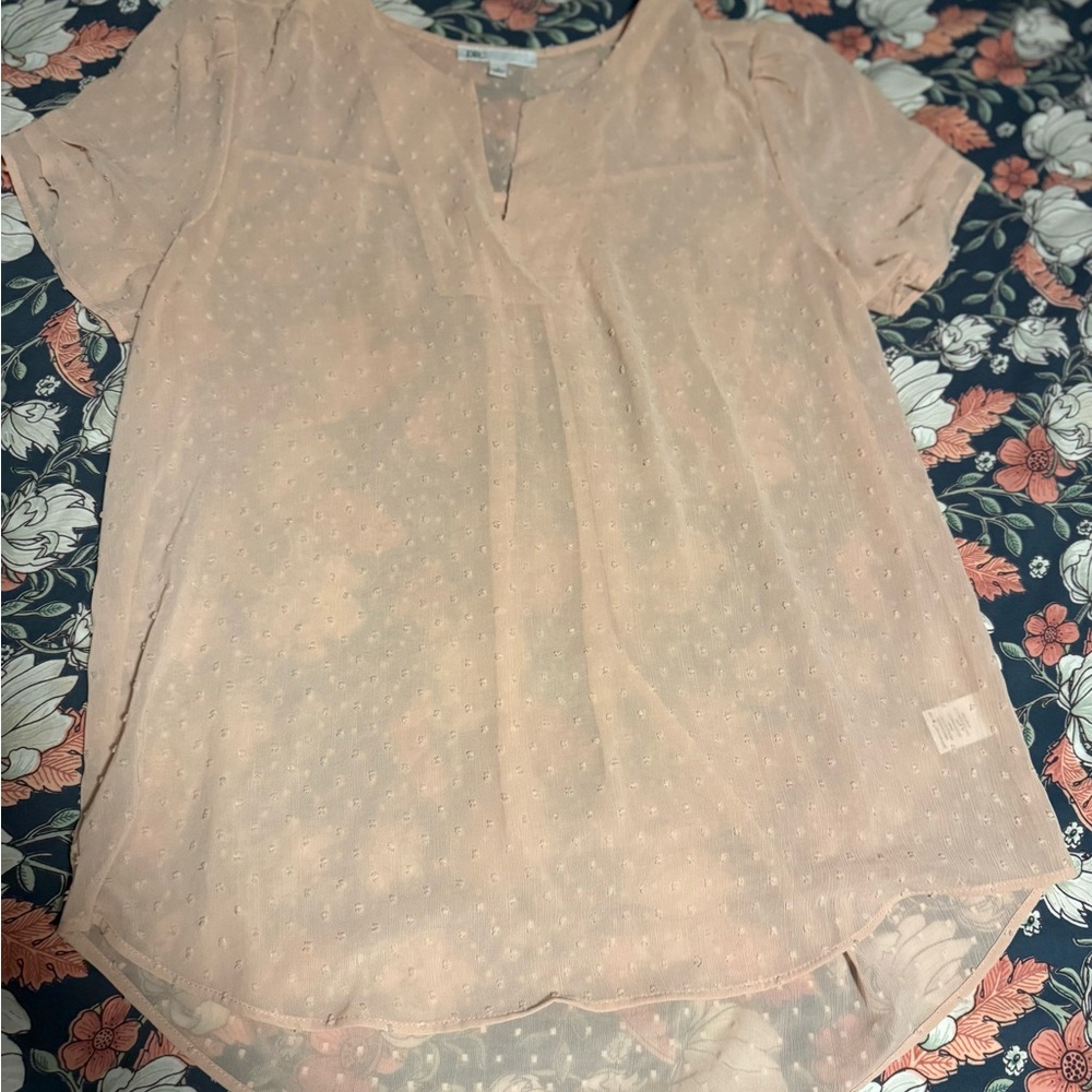 Daniel Rainb Light Pink Swiss Dot V-Neck Short Sleeve Top
